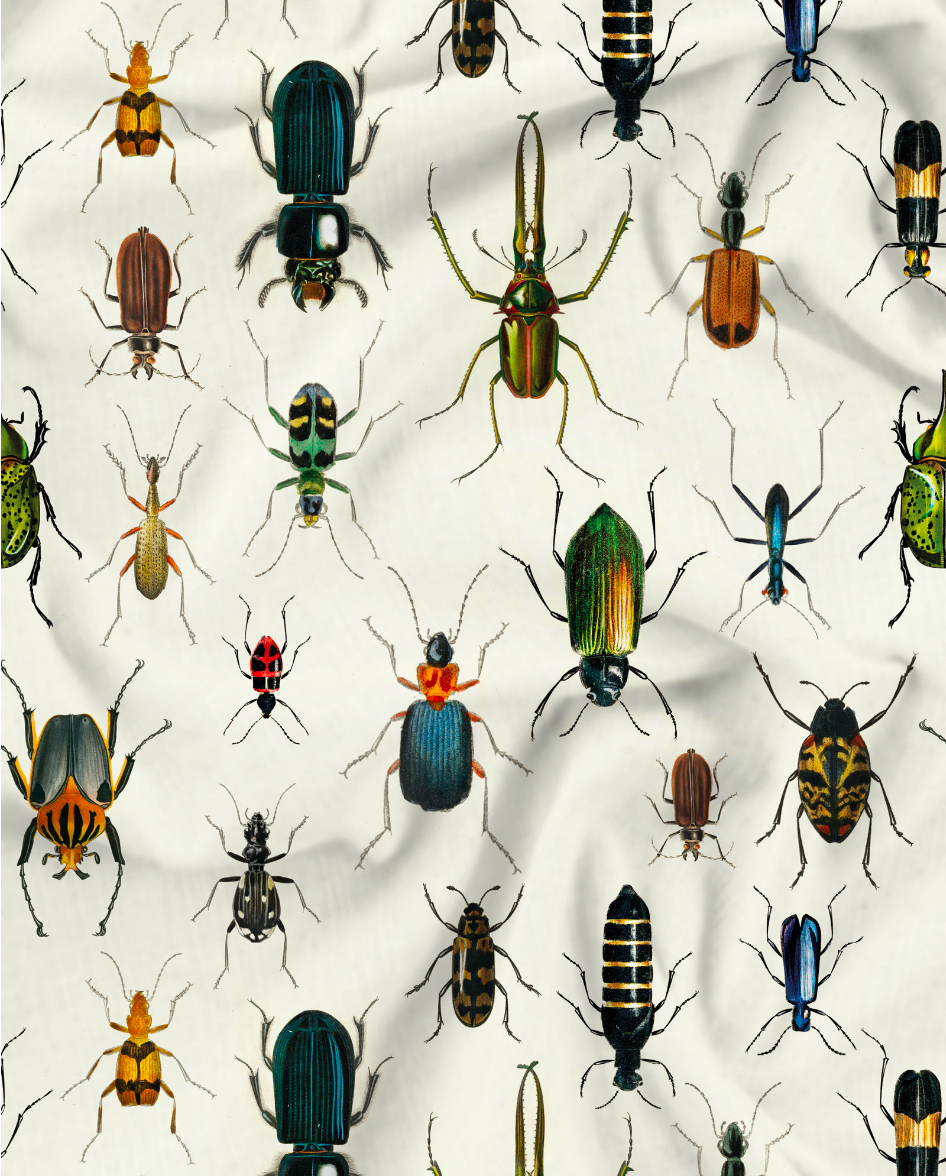 Mens Boxer Shorts - Beetlemania