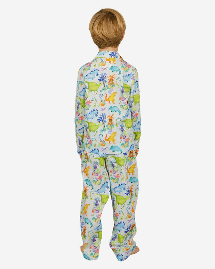 Boys Long Pyjamas - Dinosaurs