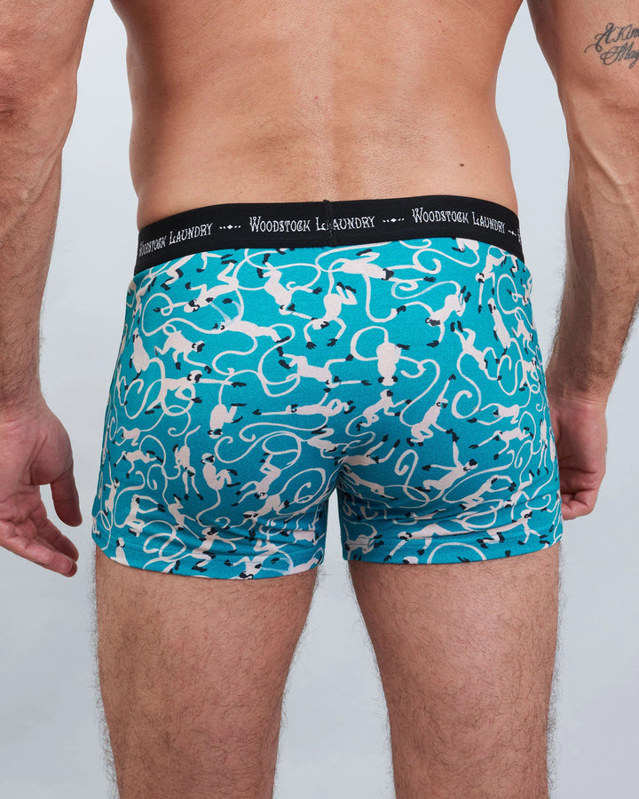 Mens Boxer Briefs - Monkeys Teal