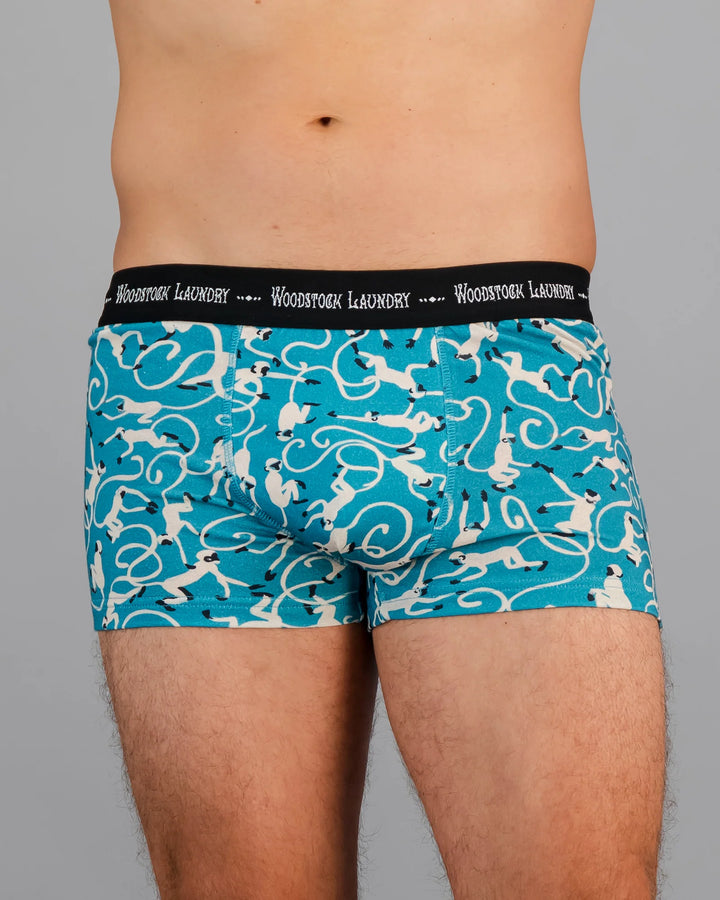 Mens Boxer Briefs - Monkeys Teal