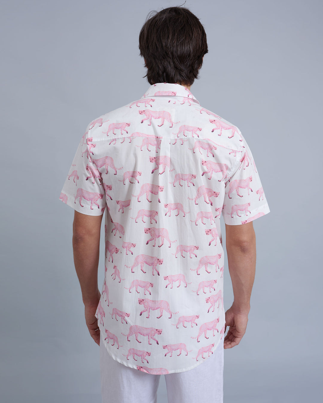 Mens Holiday Shirt Pink Cheetahs Back - Woodstock Laundry UK
