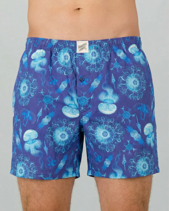 Mens Boxer Shorts - Haeckel Navy