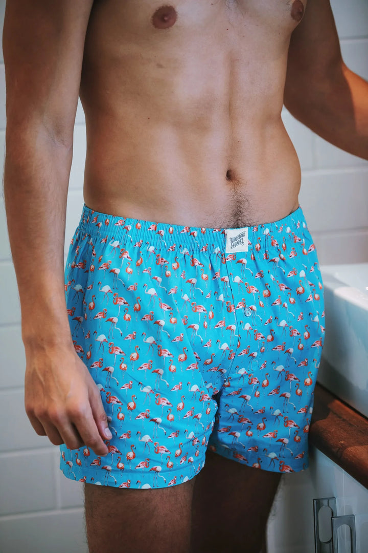 Mens Boxer Shorts - Blue Flamingos