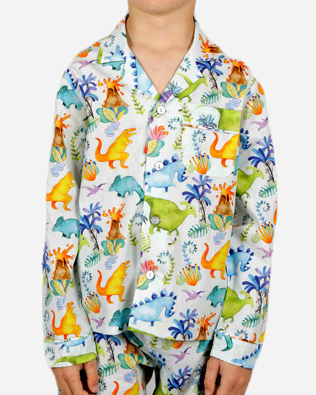 Boys Long Pyjamas - Dinosaurs