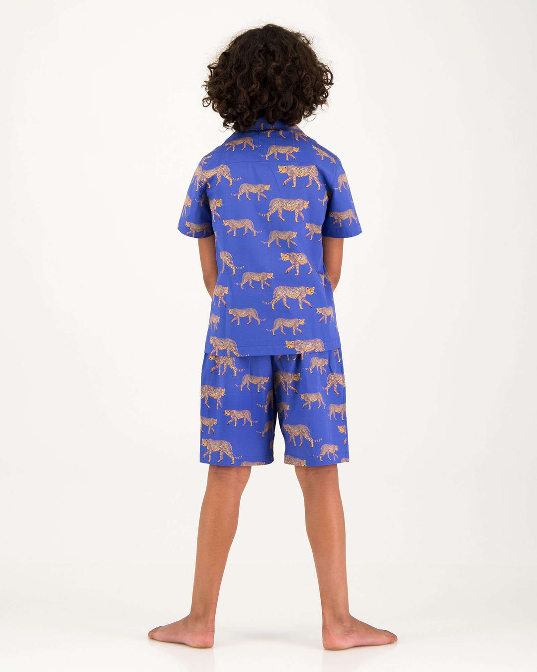 Boys Short Pyjamas Blue Cheetahs Back - Woodstock Laundry UK